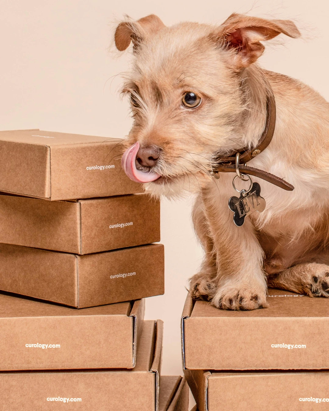 new project 2026 04 18t154059.544